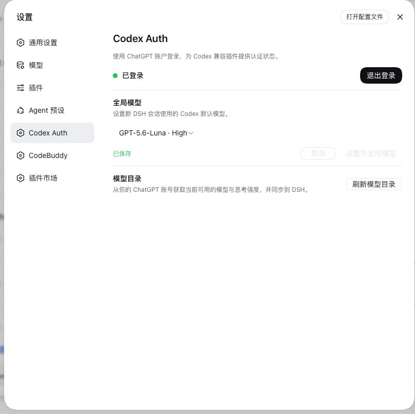 Codex Auth 设置页